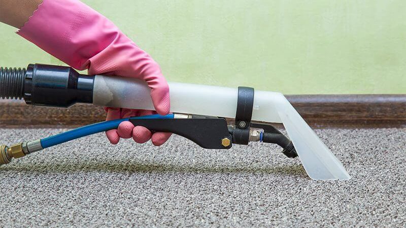 How to Clean the Carpets