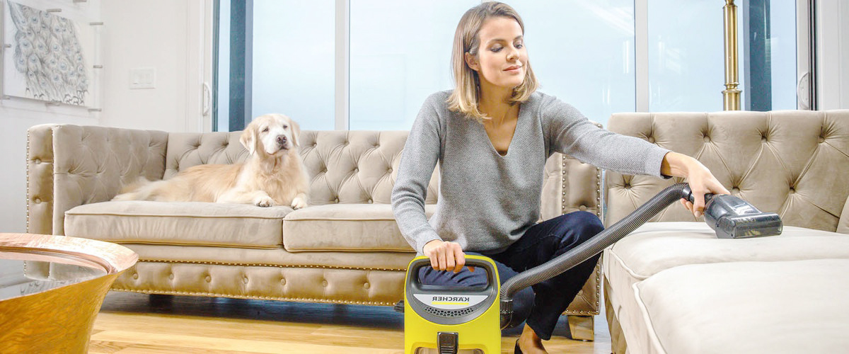 How To Effectively Get Dog Hair Out Of Carpets
